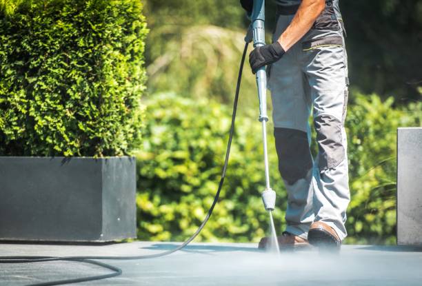 Boat and Dock Cleaning in Hawthorne, FL